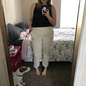 Khaki Loft Boyfriend Chino Pants